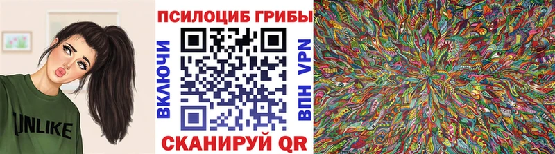 Галлюциногенные грибы мицелий  Суоярви 